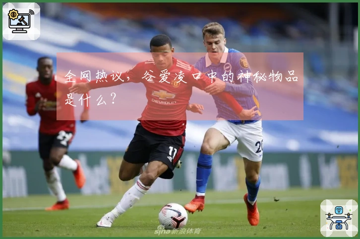 全网热议，谷爱凌口中的神秘物品是什么？