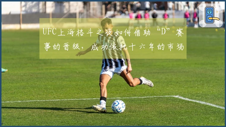 UFC上海格斗之夜如何借助“D”赛事的晋级，成功依托十六年的市场培育-